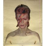 RARE 1973 BLANK DAVID BOWIE ALADDIN SANE POSTER.