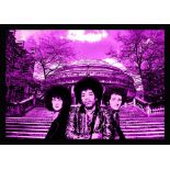 PURPLE HAZE - KARL FERRIS HENDRIX EXPERIENCE.