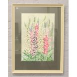 W. A. Davies, a framed still life watercolour, floral study, titled Fox Gloves, 56 x 38cm.