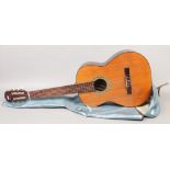 A Terada acoustic guitar model C307N in case.