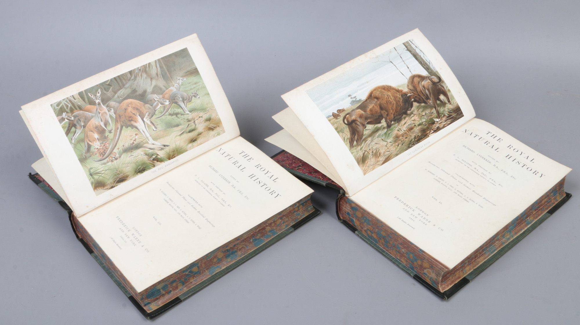 Volumes 2 and 3 of The Royal Natural History, edited by Richard Lydekker illustrated with coloured - Image 2 of 2