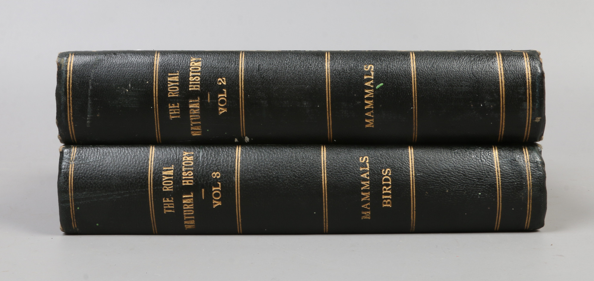 Volumes 2 and 3 of The Royal Natural History, edited by Richard Lydekker illustrated with coloured