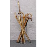 A collection of thirteen walking sticks.