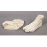 Two wall hanging plaster cast sculptures one of a hand the other a foot.