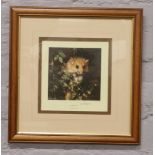 David Shepherd OBE, Dormouse framed limited edition print 485 / 1500 signed in pencil, proff stamp.