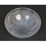 A Rene Lalique glass bowl moulded in the Chicoree pattern with a concentric band of overlapping
