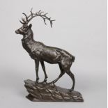 After Pierre Jules Mene, an early 20th century patinated bronze sculpture of a stag stood proudly on