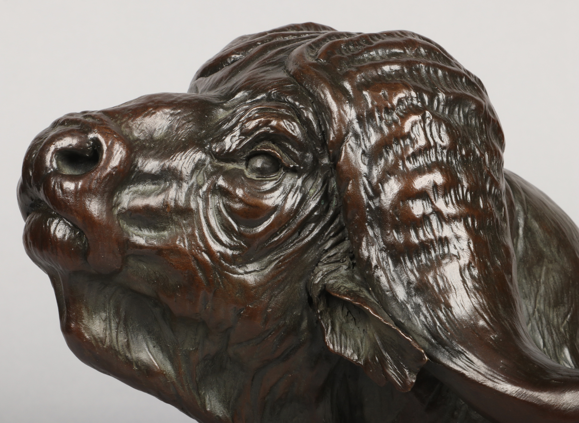 David Schaefer (1949-2012) a zoomorphic patinated bronze bust, study of a water buffalo supported on - Image 5 of 5