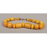 A sting of graduated butterscotch amber beads. Largest beads 24mm, gross weight 103 grams.