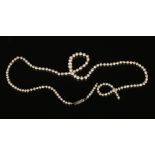 A cased string of graduated natural saltwater pearls of semi baroque shape and with white metal