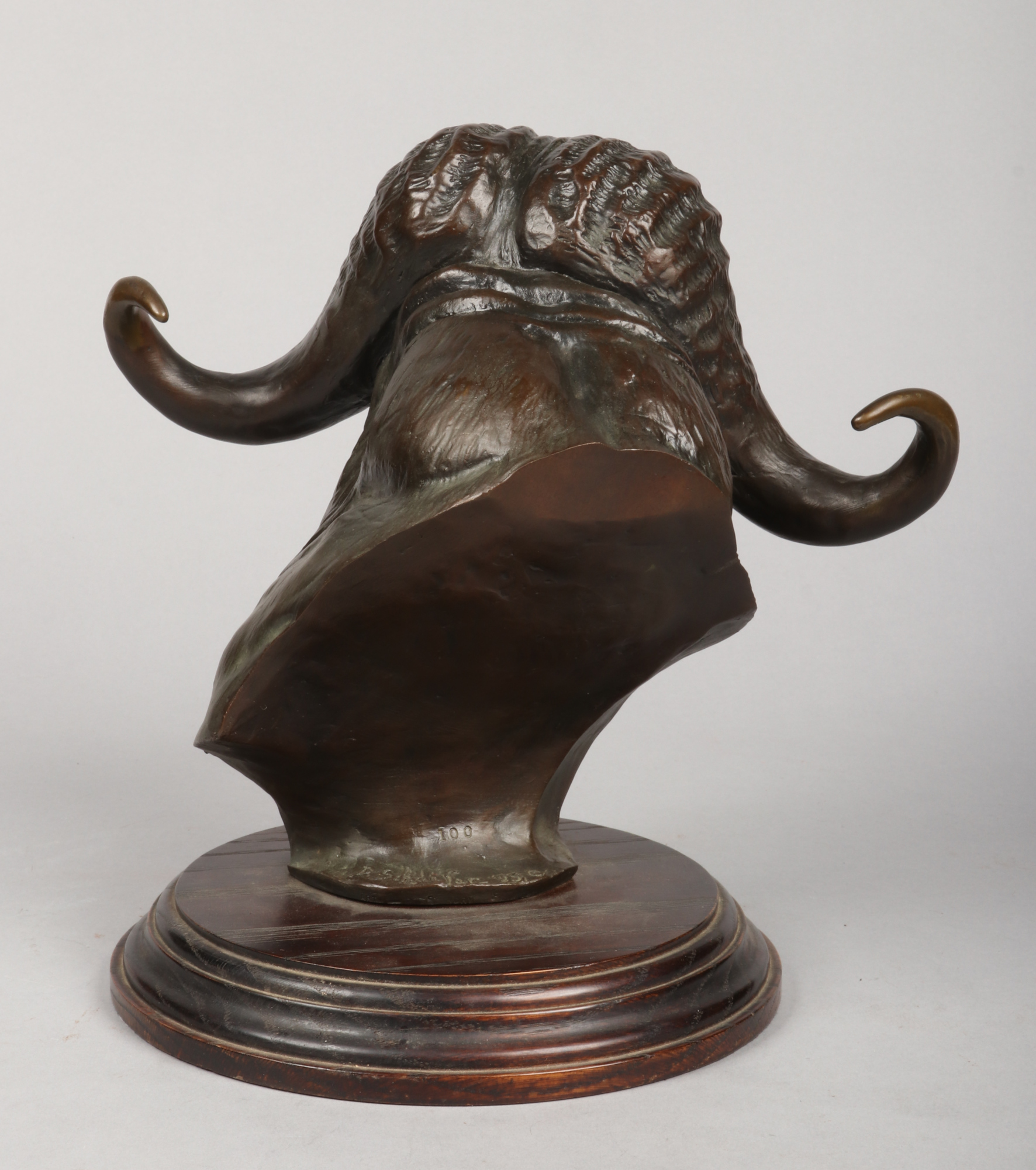 David Schaefer (1949-2012) a zoomorphic patinated bronze bust, study of a water buffalo supported on - Image 3 of 5