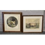 After Edwin Landseer etched by Thomas Landseer 'A British Boar' in parcel gilt frame and a similar