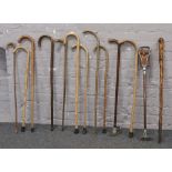 A bundle of walking sticks, along with a shooting stick.