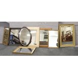 A quantity of mirrors including gilt frame and bevel edge examples.