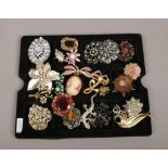 Twenty five costume jewellery brooches including coloured stone set, gilt and zoomorphic examples.