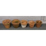 A collection of terracotta planters in varying sizes from 5cm diameter to 30cm diameter.