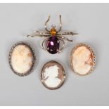 Three shell cameo brooches and a novelty large yellow metal brooch formed as a spider and set with