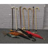 A collection of umbrellas, walking sticks and walking canes.