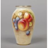 A Royal Worcester specimen vase by Roberts. Painted with peaches and grapes in a vignette. Signed,