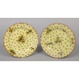 A pair of Italian Cantagalli Faience dishes. Yellow ground and painted with leaves and flowers.