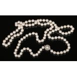 A long string of pearls with 14 carat white gold coral branch formed clasp. With 111 uniform pearls,
