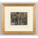 Harry Epworth Allen R. B. A. (1894-1958) gilt framed tempera on paper. Woodland landscape. Signed,