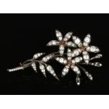 An Edwardian white metal spray brooch set with paste stones and with gilt embellishments, 8cm.