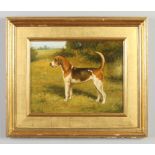 Florence Mabel Hollams (1877-1967). Gilt framed oil on canvas. Portrait of a beagle in a