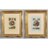 George Wright (1860-1942) pair of gilt framed gouche paintings. Fox hunting vignettes, signed,
