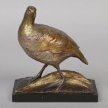 An early 20th century gilt bronze sculpture of a partridge on a naturalistic base moulded with an