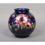 A large Moorcroft globular shaped vase. Ground in cobalt blue and decorated with the Anemone pattern