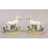 A pair of 19th century Staffordshire models of Zebra. Each raised on a naturalistic base