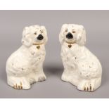 A pair of Royal Doulton mantle dogs formed as Spaniels after Staffordshire originals.