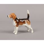 A Beswick ceramic figure of a Beagle, Wendover Billy.