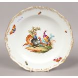 A hand painted gilt boarded Meissen cabinet plate, decorated with colourful birds and insects.