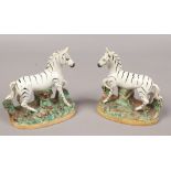 A pair of 19th century Staffordshire models of Zebra. Each raised on a naturalistic base