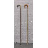 Two walking sticks / shepherds crooks with horn effect and hardwood handles.