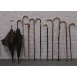 A collection of walking sticks and umbrellas including victorian examples and malacca etc.