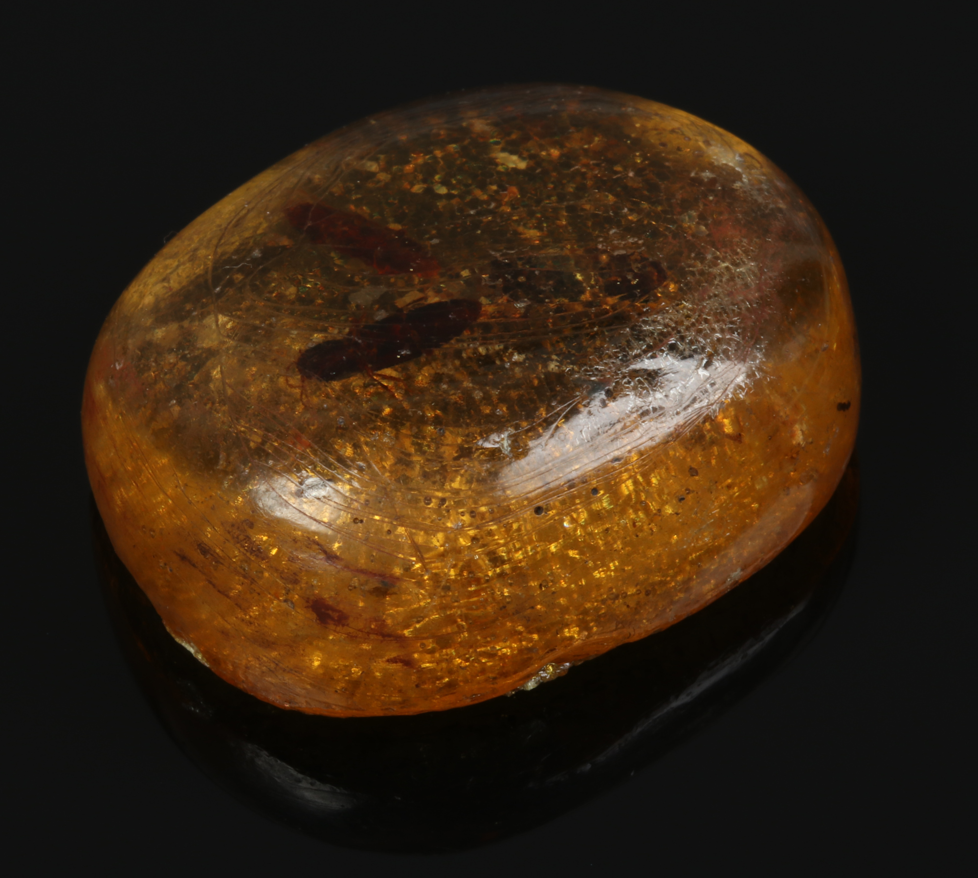 A piece of amber with insect inclusions.