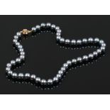 A string of grey Tahitian cultured pearls with 14ct gold clasp.