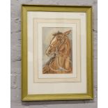 T. Buckle, a gilt framed watercolour study of a horse, titled to the back Cavalry Horse, signed