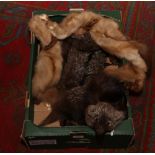 A Marcus animal fur stole along with a Fox fur stole.