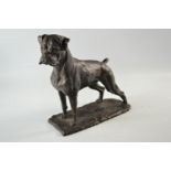 Bronzed model of a Boxer by William Timyn, limited edition no 233/500 with certficate 28cm high