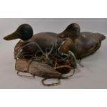 VINTAGE c1910 approx decoy wooden ducks - simply amazing!