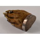 AMAZING QUALITY Victorian Silver mounted taxidermied paw(otter?) stamped SILVER