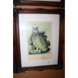 Print "Eagle Owl" Lady Elizabeth Gwillim