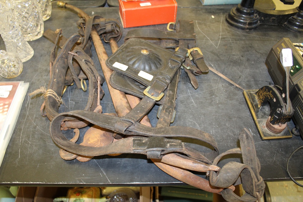 Heavy Horse Harness & Hames