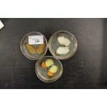 3 Butterfly Pin Trays