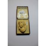 19th Century ivory cameo