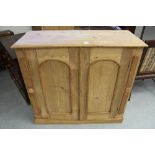 Pine 2 door cupboard